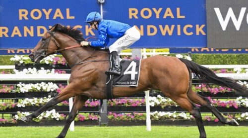 Commemorative-Wenona-Girl-Quality-1024x6