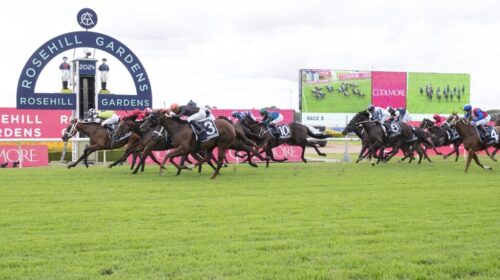 Coolmore-Classic-Day-2025-Promos-1024x68