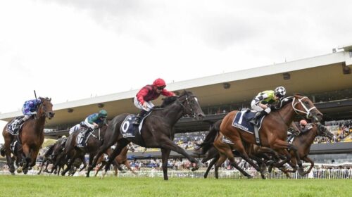 Coolmore-Classic-Day-2025-Replays-1024x6