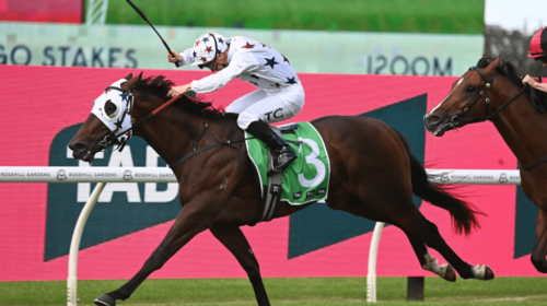 Dublin-Down-Pago-Pago-Stakes-1024x683-1-