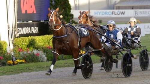 Duchess-Megxit-Zachary-Butcher-blog-GG-A