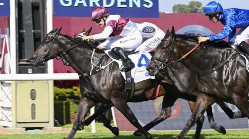 Eagle-Nest-Maurice-McCarten-Stakes-1024x