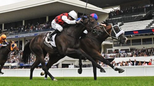 El-Vencedor-New-Zealand-Stakes-1024x577-