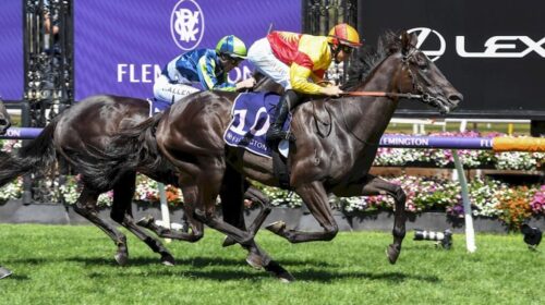 Eternal-Flame-Matron-Stakes-1024x683-1-5