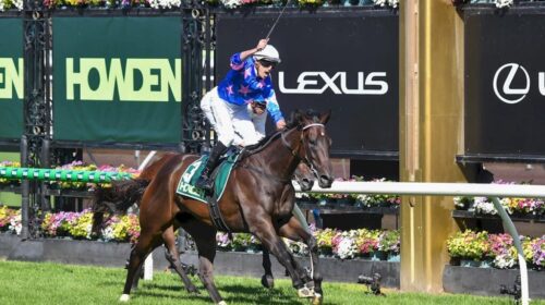 Feroce-Australian-Guineas-1024x683-1-500