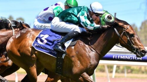 Flemington_Yulong_4-3_17844658_1987472_2