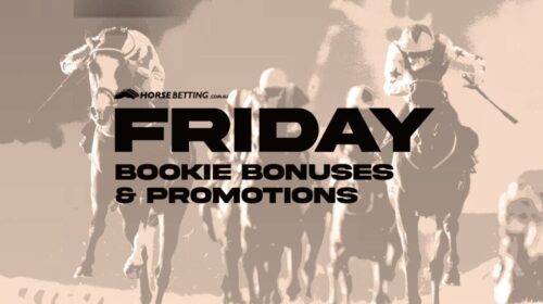 Friday-Bookie-Promo-feat-1024x650-3-500x