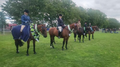 HOY-GV-2025__ResizedImageWzYwMCwzNDdd-50