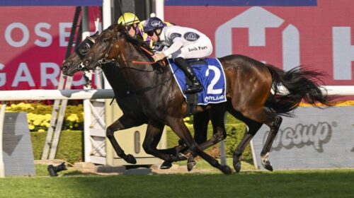 Iowna-Merc-Ajax-Stakes-1024x683-1-500x28