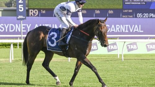 Iowna-Merc-Liverpool-City-Cup-1024x683-1