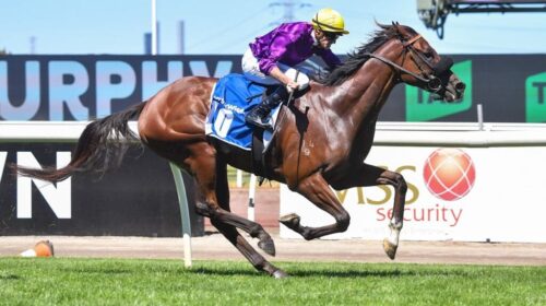 Is-It-Me-Shaftesbury-Avenue-Handicap-102