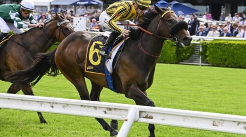 Jedibeel-Challenge-Stakes-1024x683-1-500