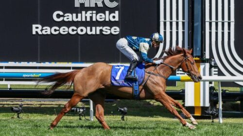 Jimmysstar-Weekend-Hussler-Stakes-1024x6