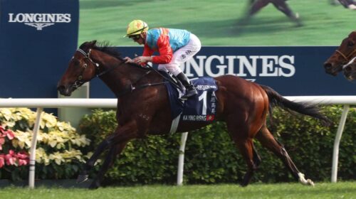 Ka-Ying-Rising-Hong-Kong-Sprint-2-1024x6