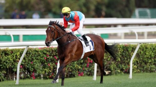 Ka-Ying-Rising-The-Sprint-Cup-1024x683-1