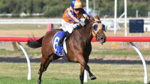 La-Dorada-Group-1-Manawatu-Sires-Produce