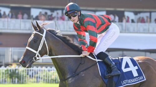 Lady-Shenandoah-Coolmore-Classic-1024x68