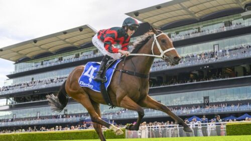 Lady-Shenandoah-Flight-Stakes-1024x683-1