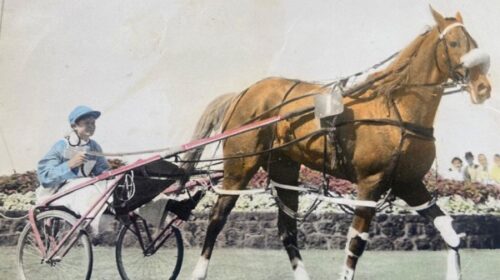 Les-Purdon-and-horse-for-obit-blog__Resi