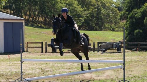 Lexi-Nolan-Percy-blog-LAR__ResizedImageW