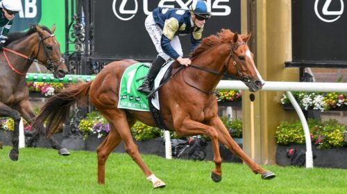 Light-Infantry-Man-1024x683-1-500x280.jp