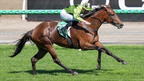 Marble-Arch-Blamey-Stakes-1024x683-1-500