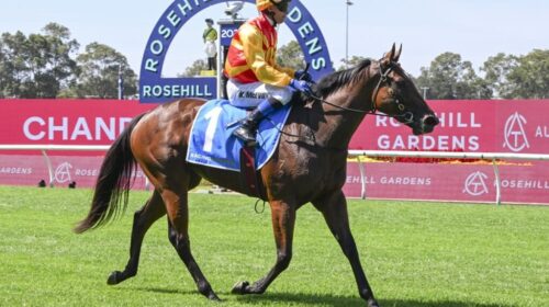 Memo-Magic-Night-Stakes-1024x683-1-500x2