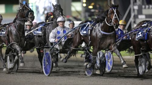 Merlin-action-2024-for-awards-blog-v2__R