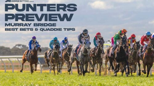 Murray-Bridge-Preview-1024x650-1-500x280