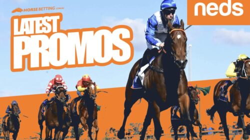 Neds_Promos_HB-3-500x280.jpg