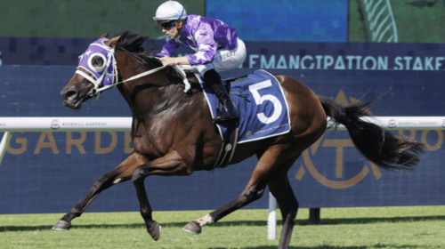 Olentia-Emancipation-Stakes-1024x680-1-5