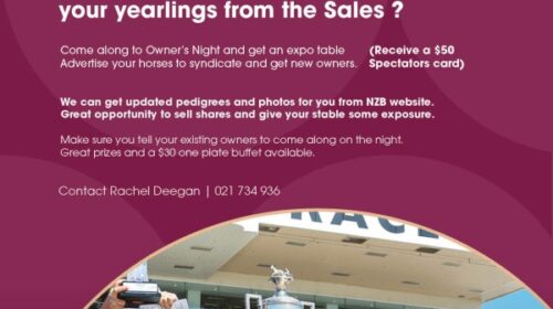 Owners-Night-Trainers-1-v2__ResizedImage