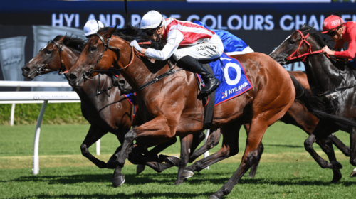 Passive-Aggressive-Challenge-Stakes-1024