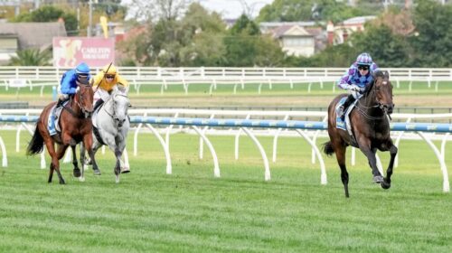 Pride-Of-Jenni-Peter-Young-Stakes-1024x6