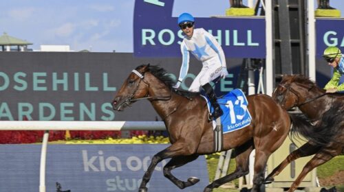 Private-Harry-The-Galaxy-1024x683-1-500x