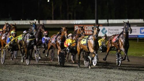 Queen-Elida-blog-IDs-Nov-2024-v2__Resize