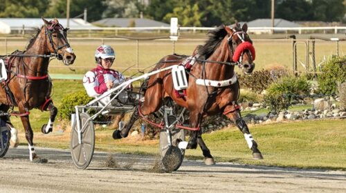 Reublican-Party-Carter-Dalgety-dec-2024-