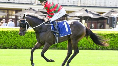 Rivellino-Skyline-Stakes-1024x683-1-500x