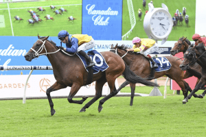 Roots takes out the Emancipation Stakes in a Waller Trifecta