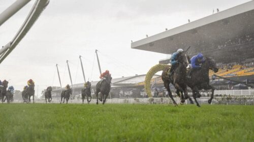 Rosehill-Races-Postponed-1024x683-1-500x