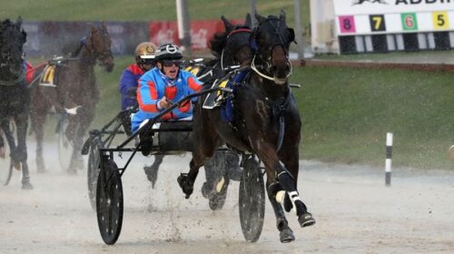 Royal-Del-blog-addington__ResizedImageWz