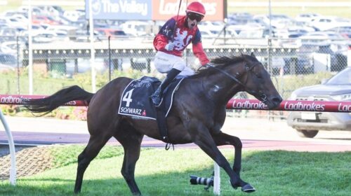 Schwarz-William-Reid-Stakes-1024x683-2-5