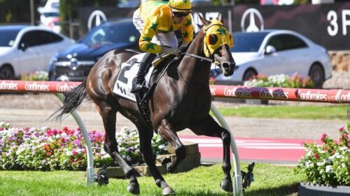 Shanwah-Alister-Clark-Stakes-1024x683-1-