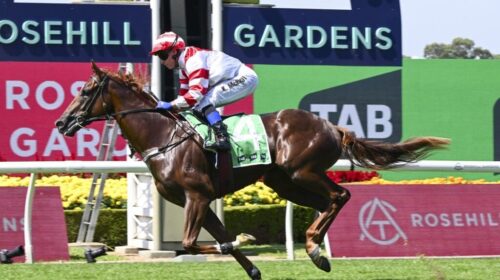 Skyhook-Pago-Pago-Stakes-1024x683-1-500x