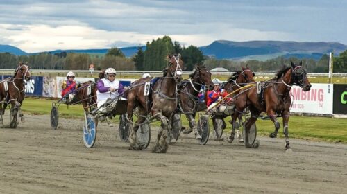 Ted-Winton-blog-March-2025__ResizedImage