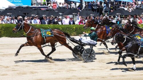 The-Big-Lebowski-Cup-day-blog-24-v2__Res