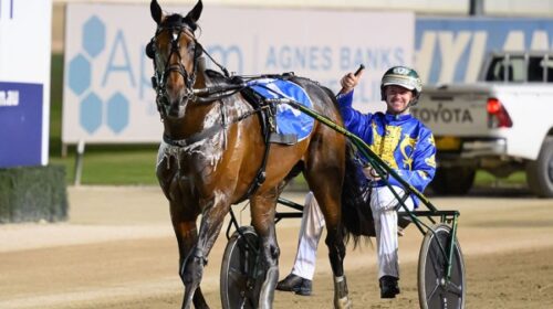 The-Locomotive-blog-ID-finals-Menangle-D