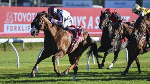 Tintookie-Wenona-Girl-Quality-1024x683-1