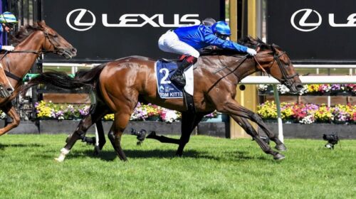 Tom-Kitten-All-Star-Mile-1024x683-1-500x