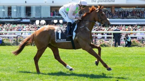 Vauban-Melbourne-Cup-2024-1024x683-1-500